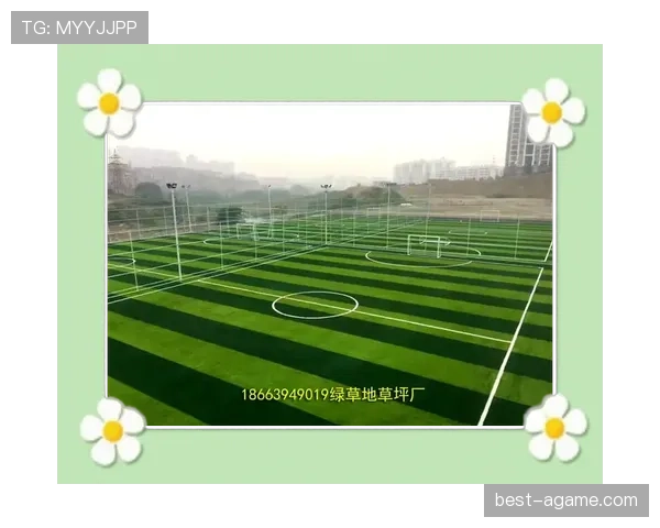草坪场地规则拆解：足球比赛对草坪的具体标准有哪些？